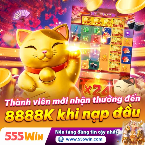 555win